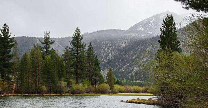 June Lake Motel Bagian luar foto